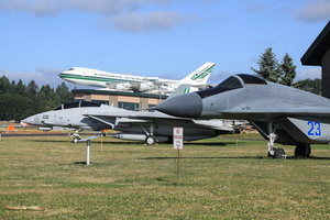 Fulcrum, Tomcat & 747 on the front lawn